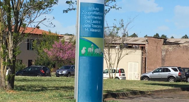 PICNIC_20200417_160406087